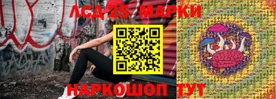 мяу мяу мука Будённовск