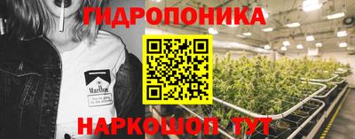 мяу мяу мука Будённовск