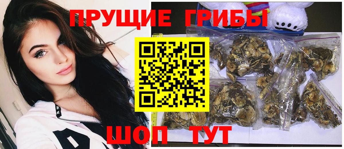 как найти наркотики  Вход с VPN  Крымск  Галлюциногенные грибы GOLDEN TEACHER 