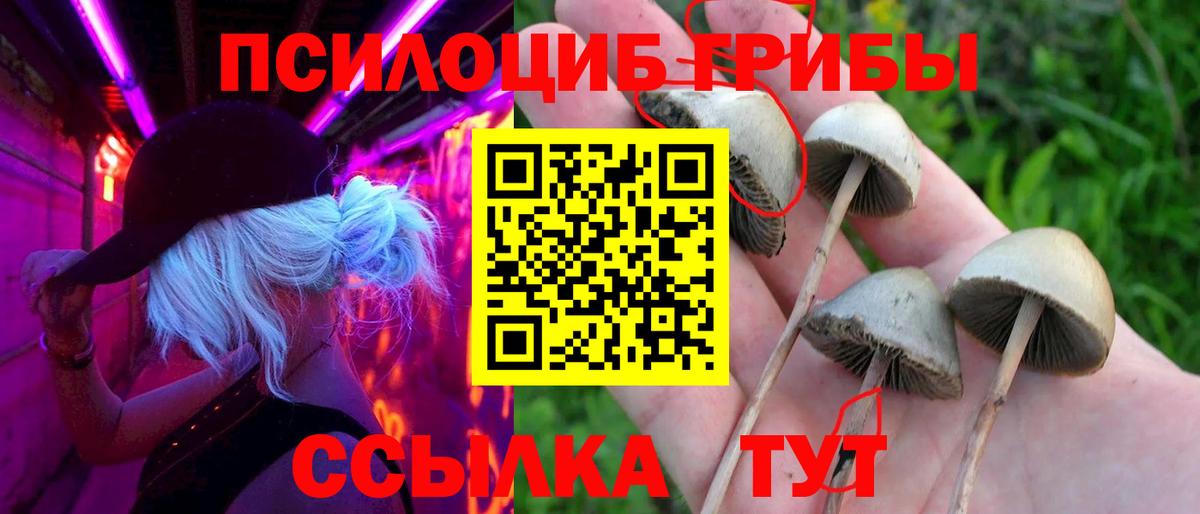 Псилоцибиновые грибы мицелий Крымск